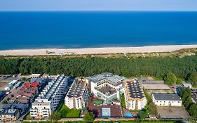 Perła Południa Hryniewieckiego 7C